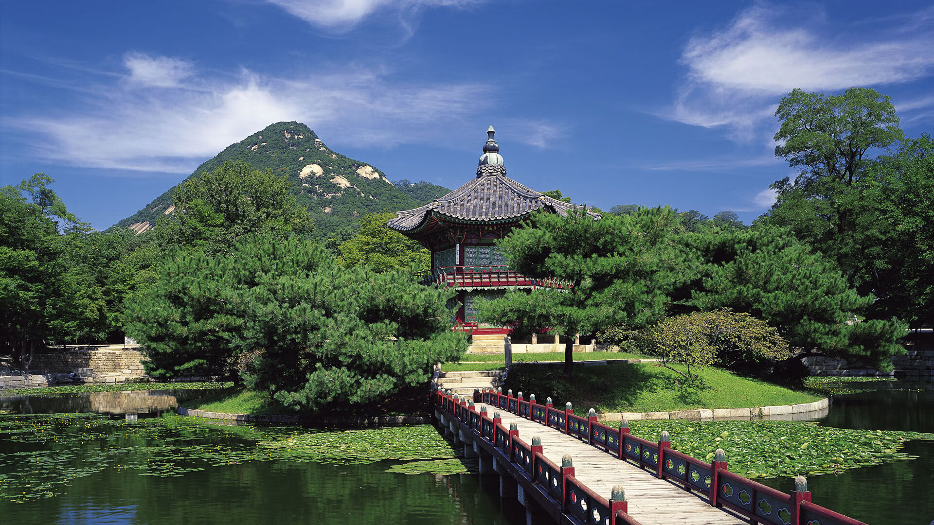 全国青少年篮球“青训基金”正式启动,支持贫困地区发展,全国青少年篮球锦标赛