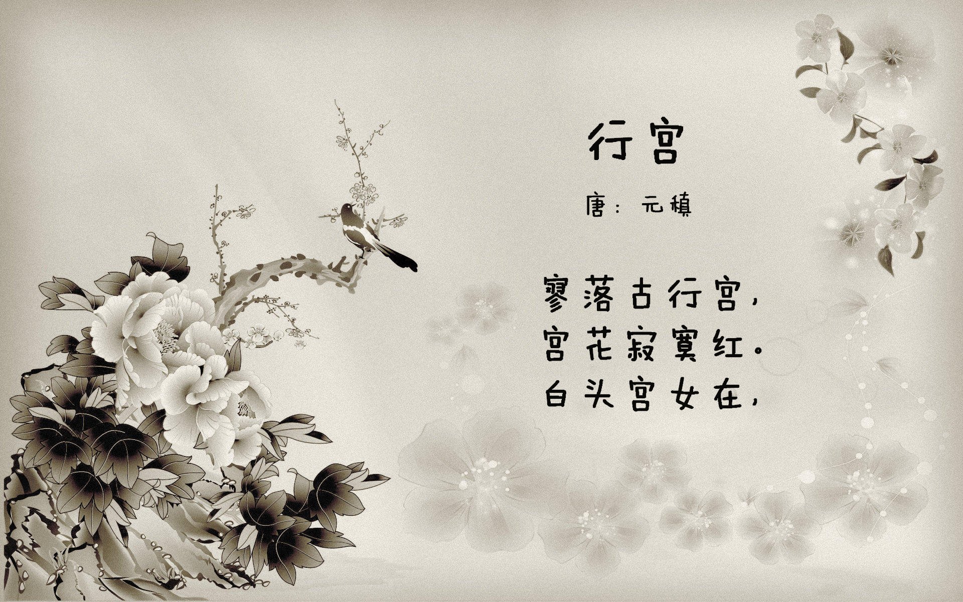 快船推行“无障碍篮球训练营”，助力残障人士参与，无障碍方案