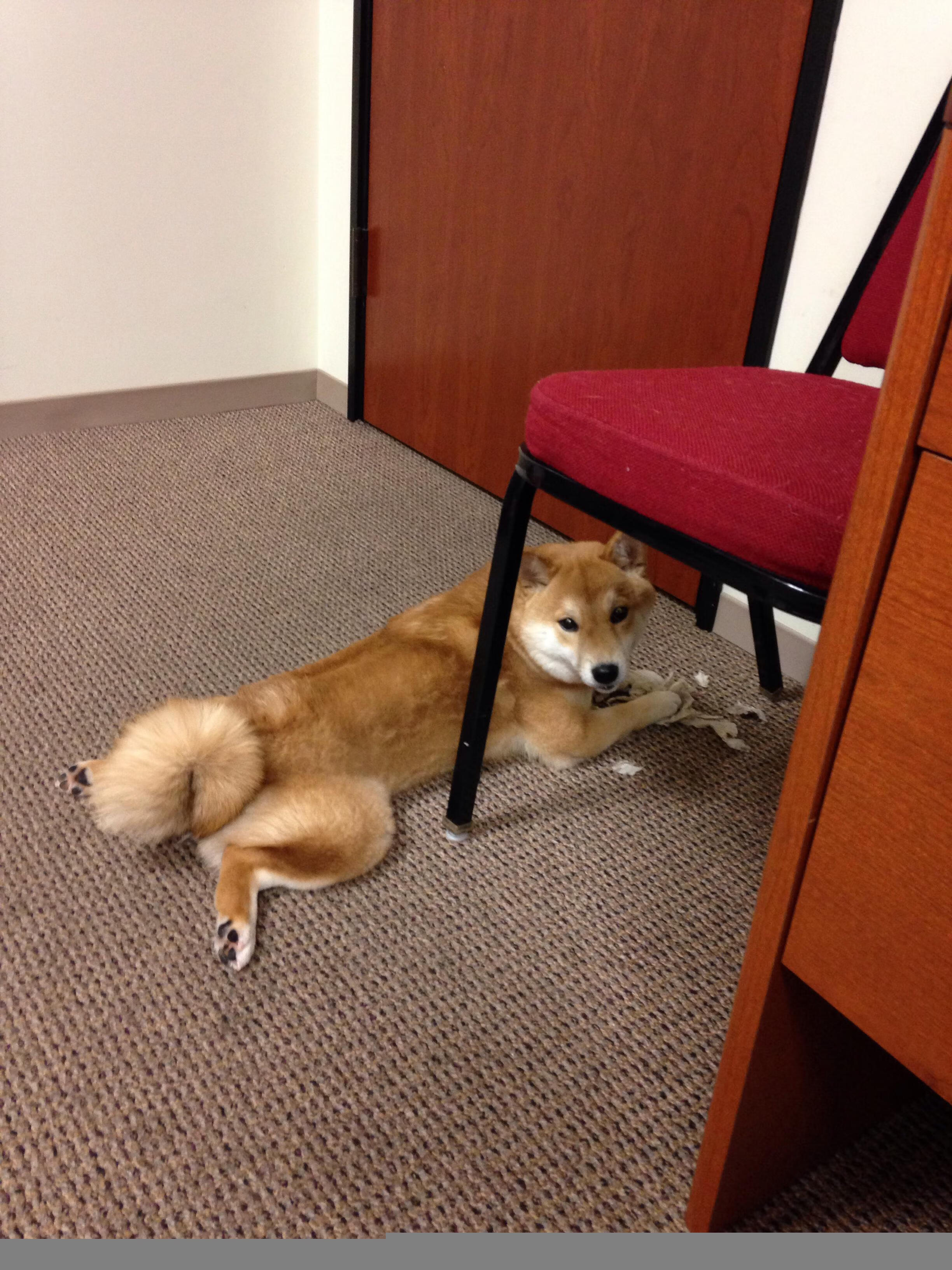 全国青少年“智慧篮”科技创新成果展在深圳亮相,技术驱动新未来