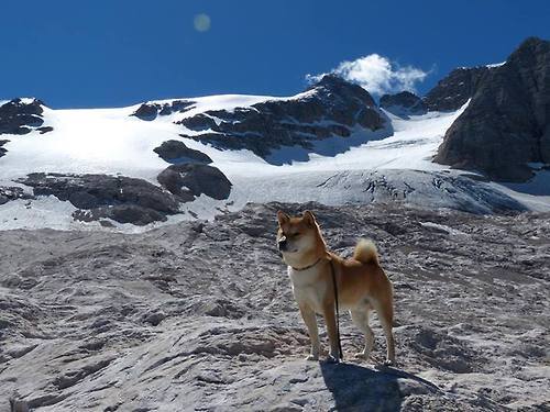 塞内加尔队在巴黎奥运会比赛中展现出高效的快攻配合，塞内加尔运动员